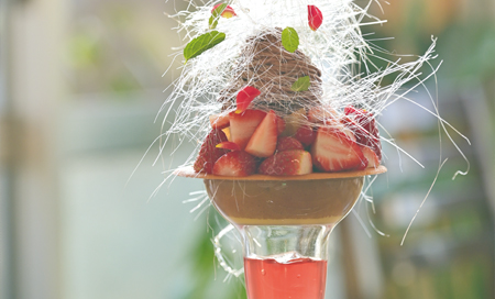 TREEBELL（ツリーベル）