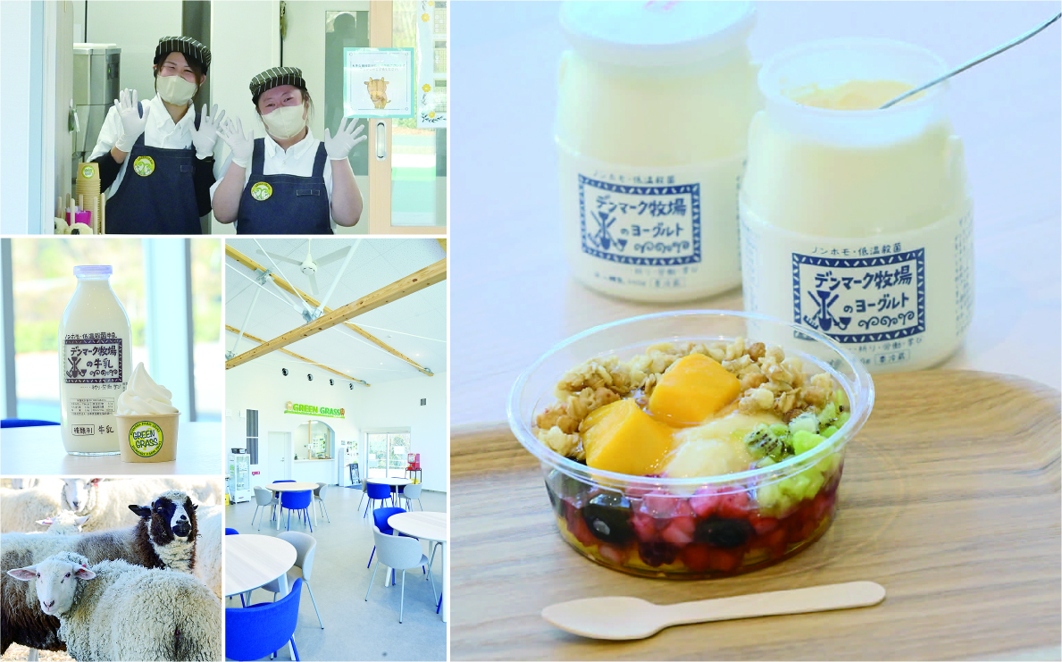 デンマーク牧場 グリーングラス