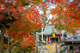 006_可睡齋_紅葉