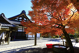 008_可睡齋_紅葉