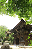 011_法多山尊永寺_青もみじ