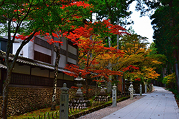 014_法多山尊永寺_紅葉