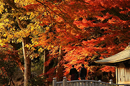 015_法多山尊永寺_紅葉