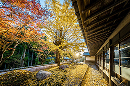 016_法多山尊永寺_紅葉