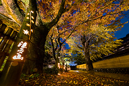 017_法多山尊永寺_ライトアップ