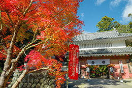 022_油山寺_紅葉