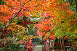 023_油山寺_紅葉
