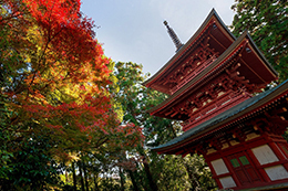 024_油山寺_紅葉