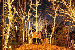 030_夜宵の森