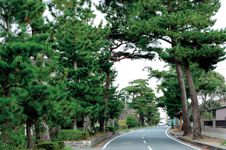 東海道どまん中袋井宿