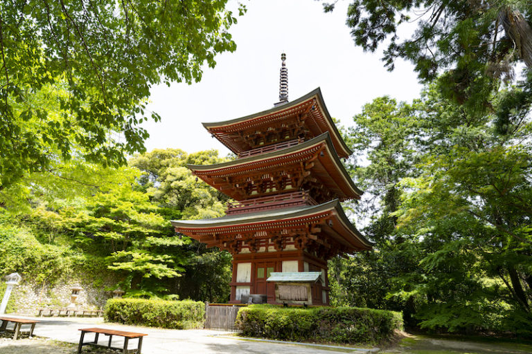 目の霊山 油山寺